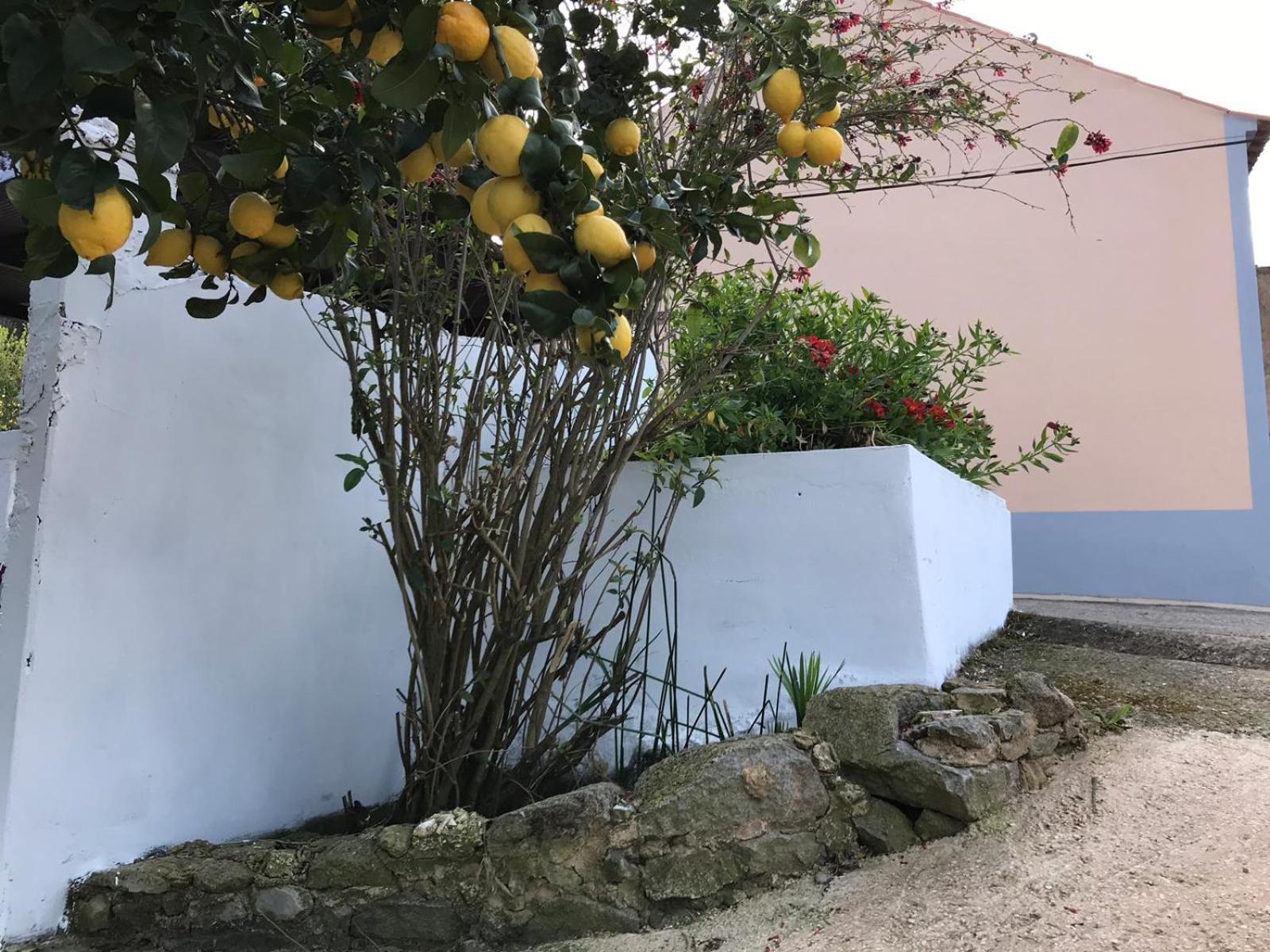 فيلا Casas Bemposta مونشيك المظهر الخارجي الصورة