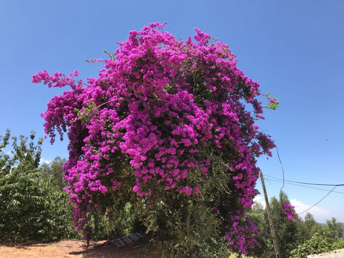 فيلا Casas Bemposta مونشيك المظهر الخارجي الصورة